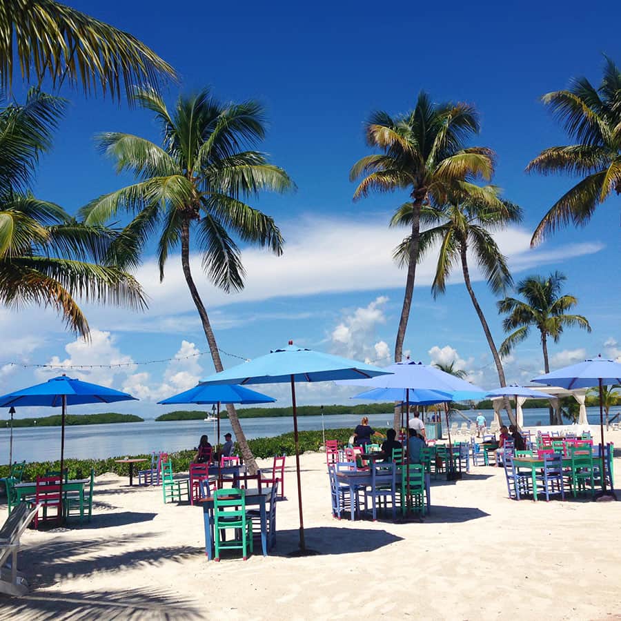 Uteservering Morada Beach Cafe på en strand med palmer i Florida