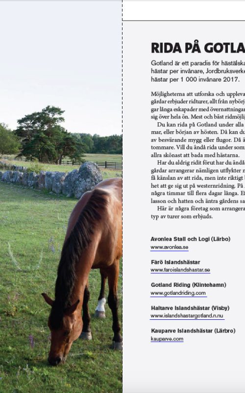 Uppslag från guideboken Mitt Gotland - Tips för hästälskare