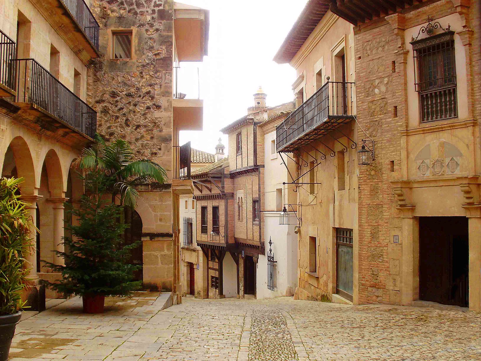 Gata och hus i Palma de Mallorca