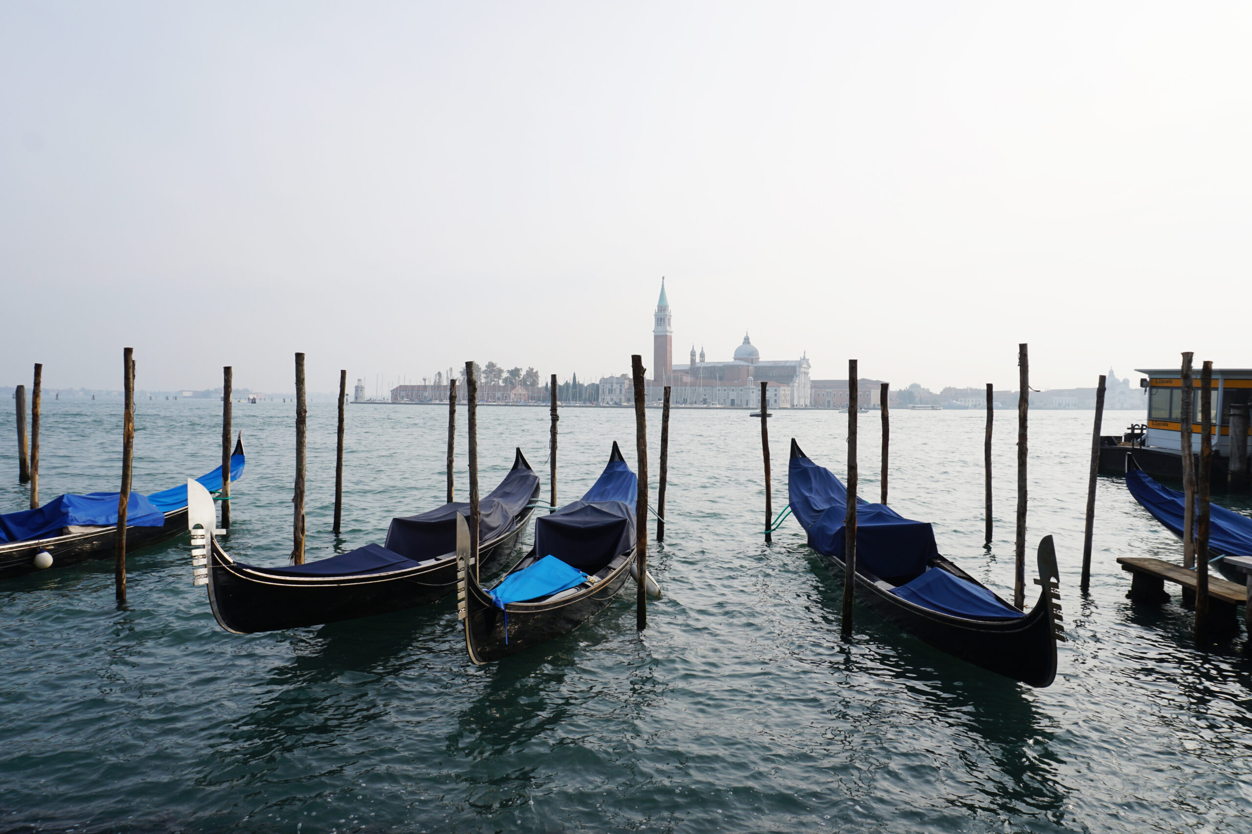 Gondoler förtöjda i Venedig vid vattnet och byggnader i bakgrunden.