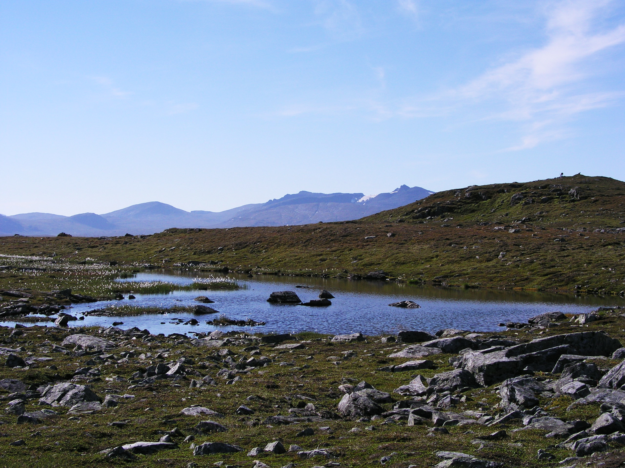 Vatten och fjäll under sommar i Sverige.